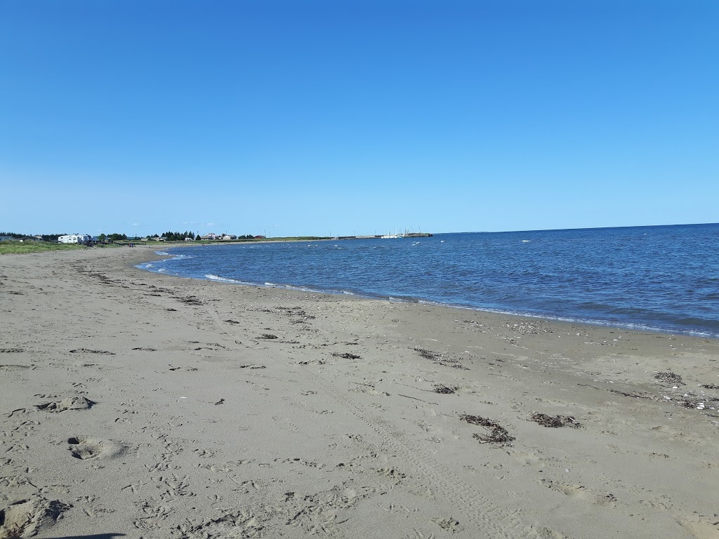 Chez les Maury Camping - Vignoble | 2021 NB-475, Saint-Édouard-de-Kent, NB E4S 4W2, Canada | Phone: (506) 743-5347