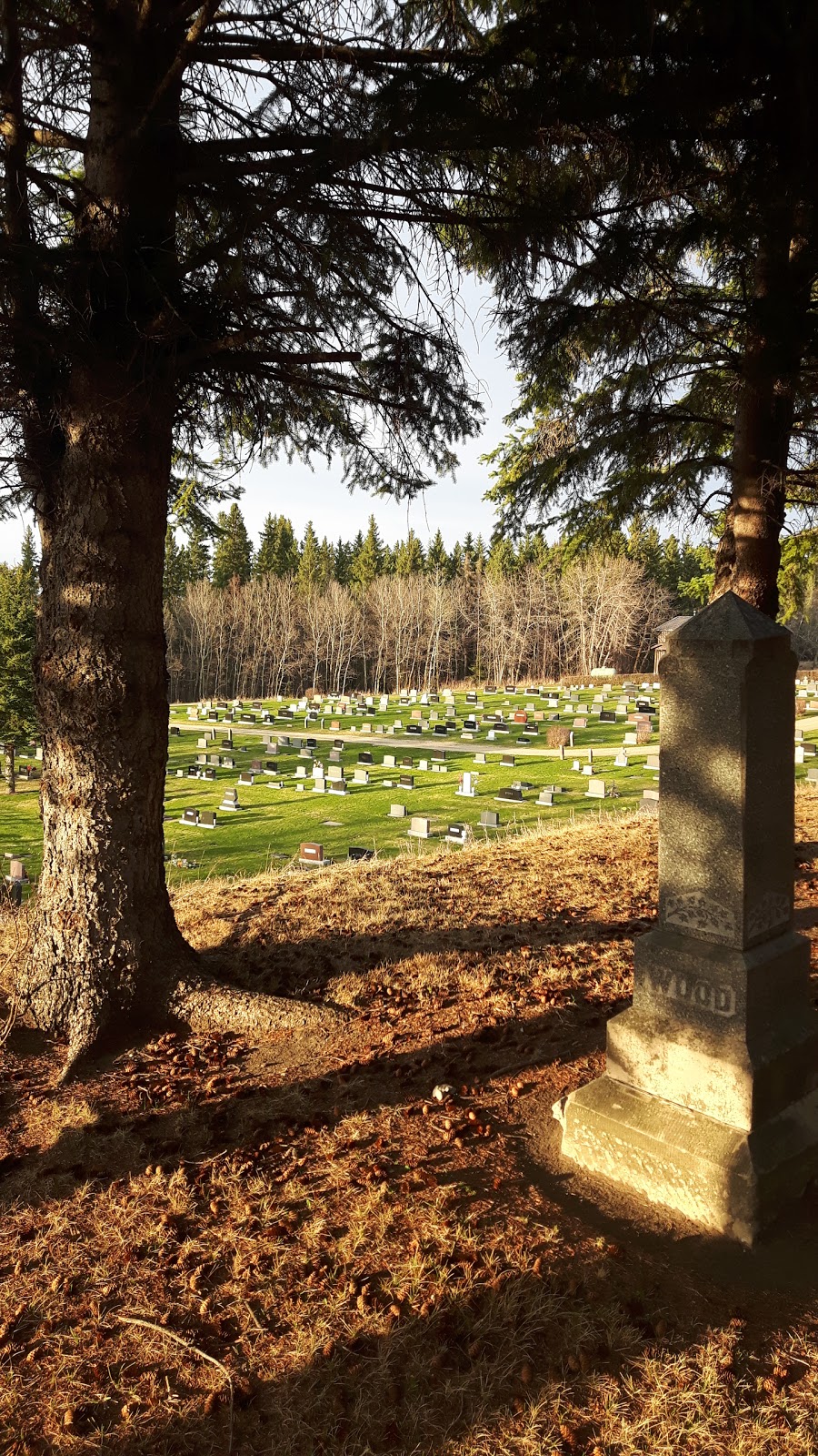 Red Deer Cemetery | T4P 0J9, 3830 55 St, Red Deer, AB T4P 0J9, Canada | Phone: (403) 342-8303