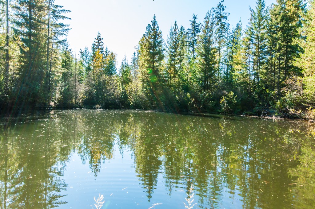Eagle Valley Homestead | 4839 Lybarger Rd, Malakwa, BC V0E 2J0, Canada | Phone: (236) 836-0611