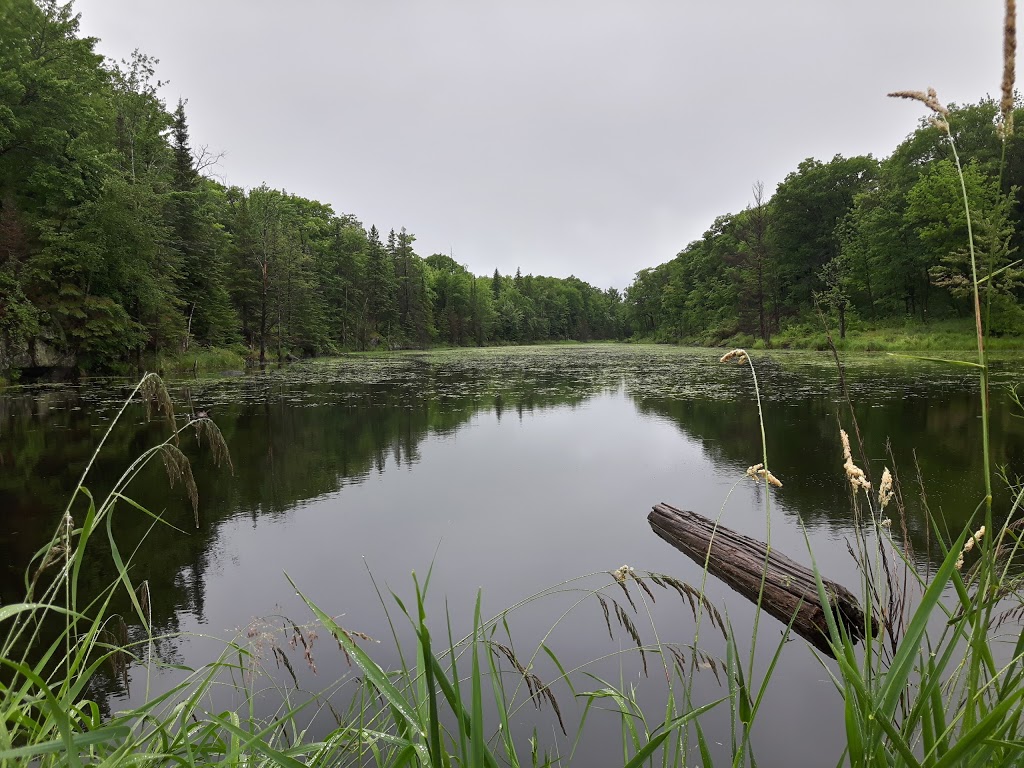 Elements luxury tented camp | 793 Storyland Rd, Renfrew, ON K7V 3Z8, Canada | Phone: (613) 432-8000