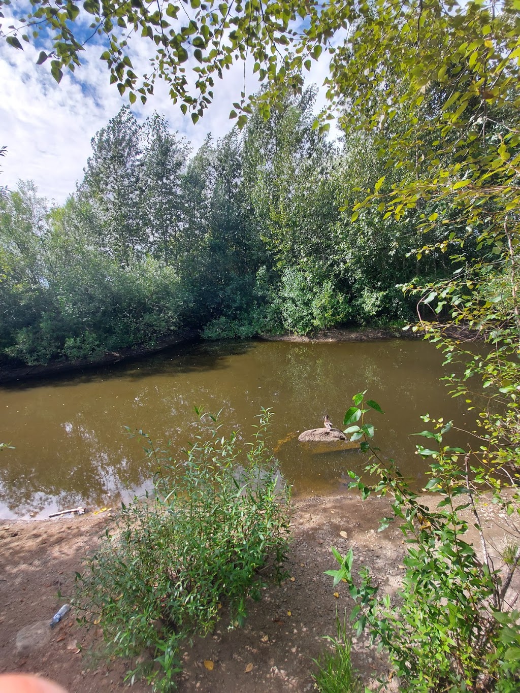 Morgan Heights Linear Park | 16151 25 Ave, Surrey, BC V3S 9H7, Canada | Phone: (604) 591-4011