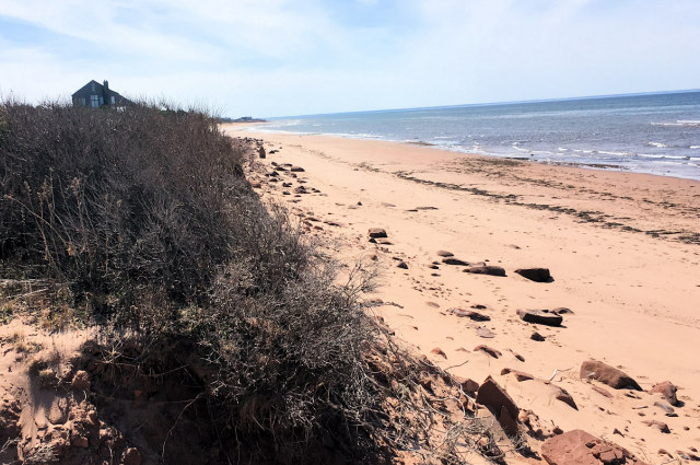 Ocean Ridge Beach House | 484 Doyles Beach Rd, Mount Stewart, PE C0A 1T0, Canada | Phone: (416) 312-2360
