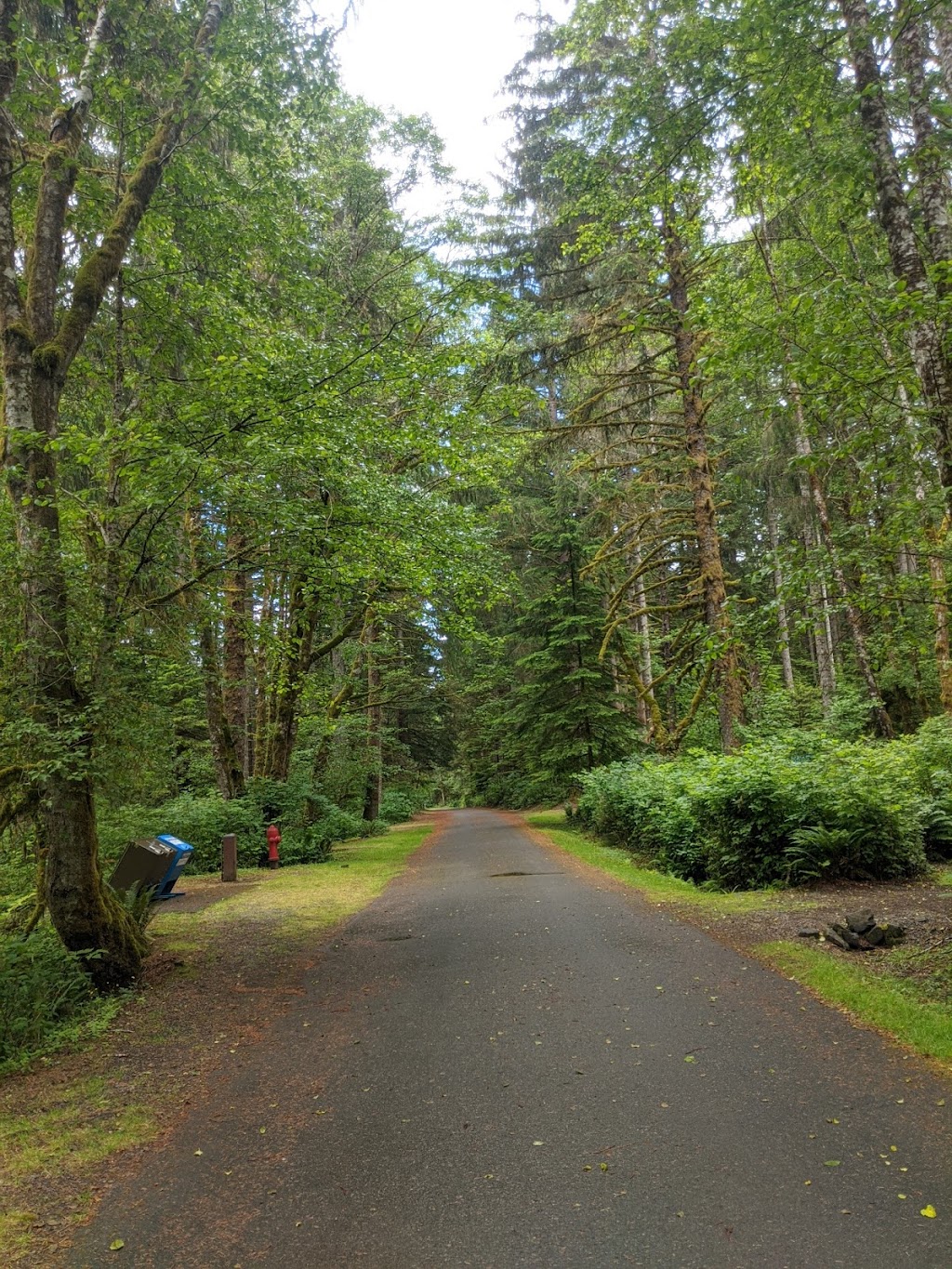 Miracle Beach Provincial Park | 1720 Miracle Beach Dr, Black Creek, BC V9J 1J5, Canada | Phone: (250) 337-8020