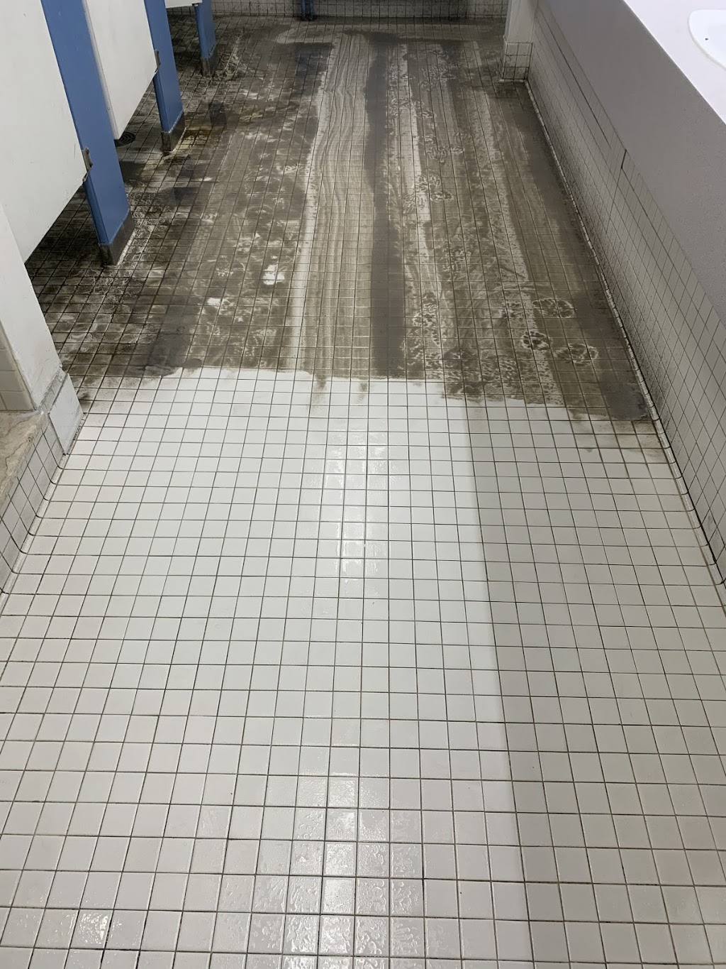 Natural Cleaning Systems | 70 Sunnyside Dr #26, London, ON N5X 3W4, Canada | Phone: (519) 679-8616