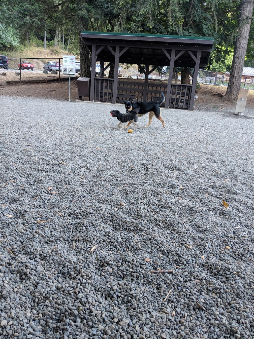 South Cowichan Off-Leash Dog Park | Empress Rd, Cobble Hill, BC V0R 1L2, Canada