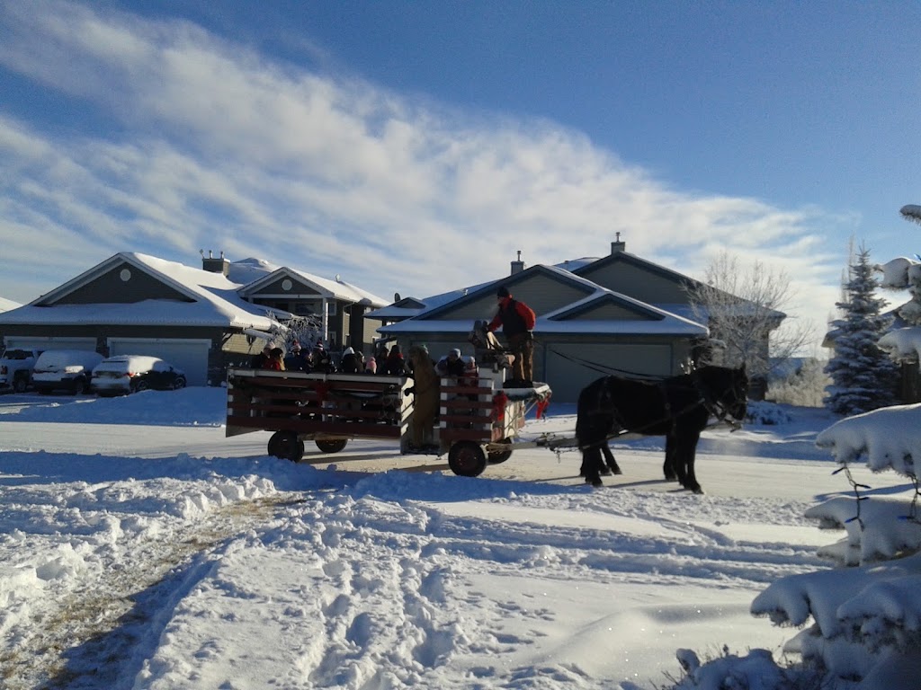 Speargrass Golf Course | 82 Speargrass Blvd, Carseland, AB T0J 0M0, Canada | Phone: (403) 901-1134