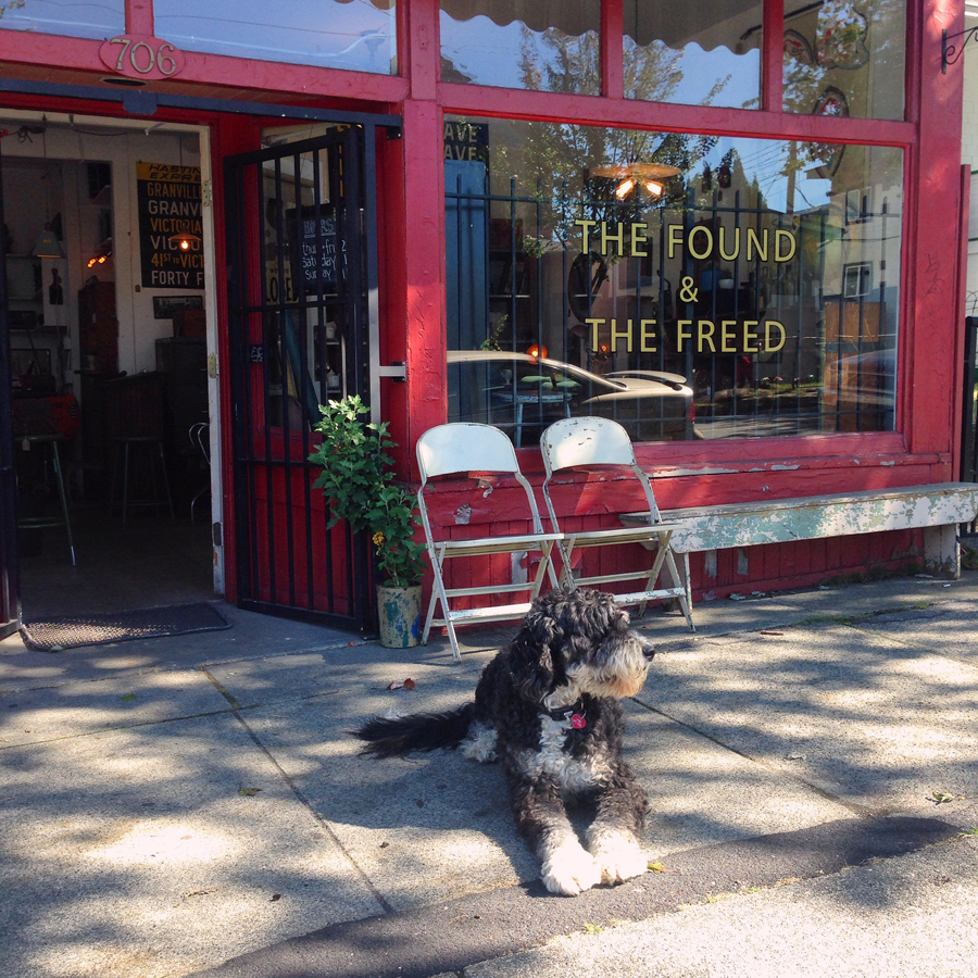 The Found and The Freed | 706 Victoria Dr, Vancouver, BC V5L 4E5, Canada | Phone: (604) 880-4756