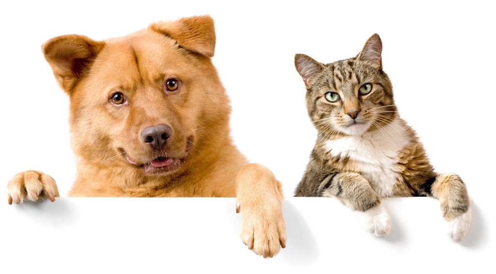 Erin Ridge Veterinary Centre | 975 St Albert Trail #105, St. Albert, AB T8N 4K6, Canada | Phone: (780) 419-2108