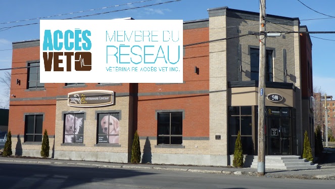 Lindsay Veterinary Hospital | 540 Rue Lindsay, Drummondville, QC J2B 1H4, Canada | Phone: (819) 474-0123