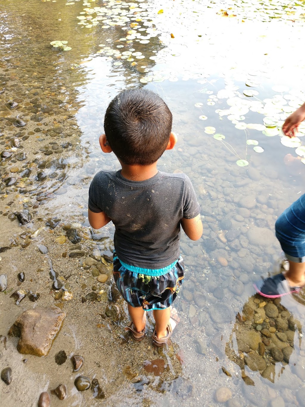 Samish Lake Park | 673 N Lake Samish Dr, Bellingham, WA 98229, USA | Phone: (360) 733-2362