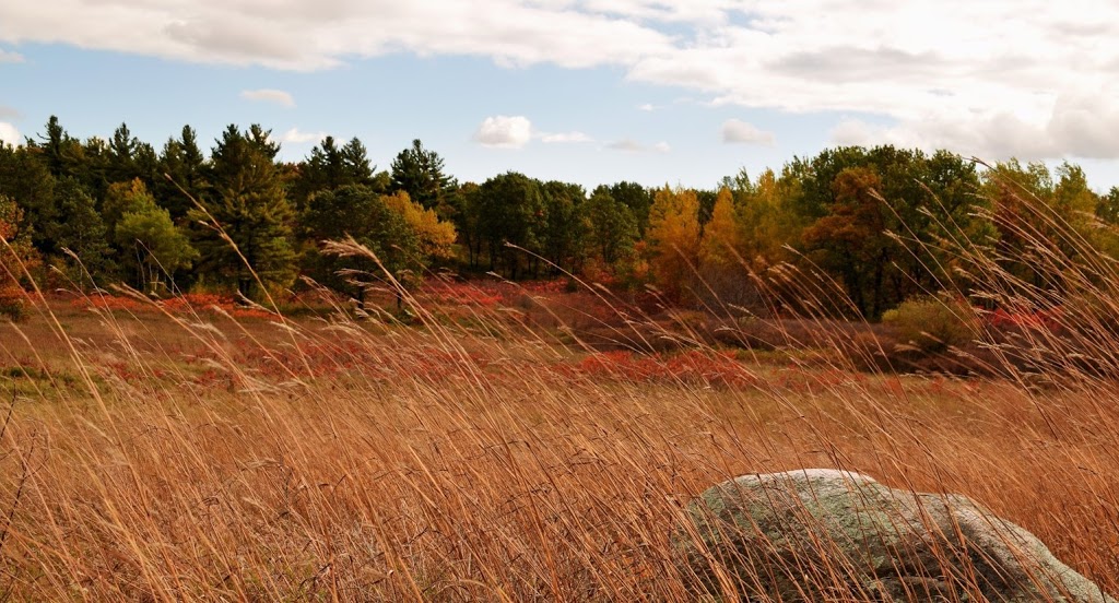 Alderville First Nation Black Oak Savanna | 8467 Northumberland County Rd 18, Roseneath, ON K0K 2X0, Canada | Phone: (905) 352-1008