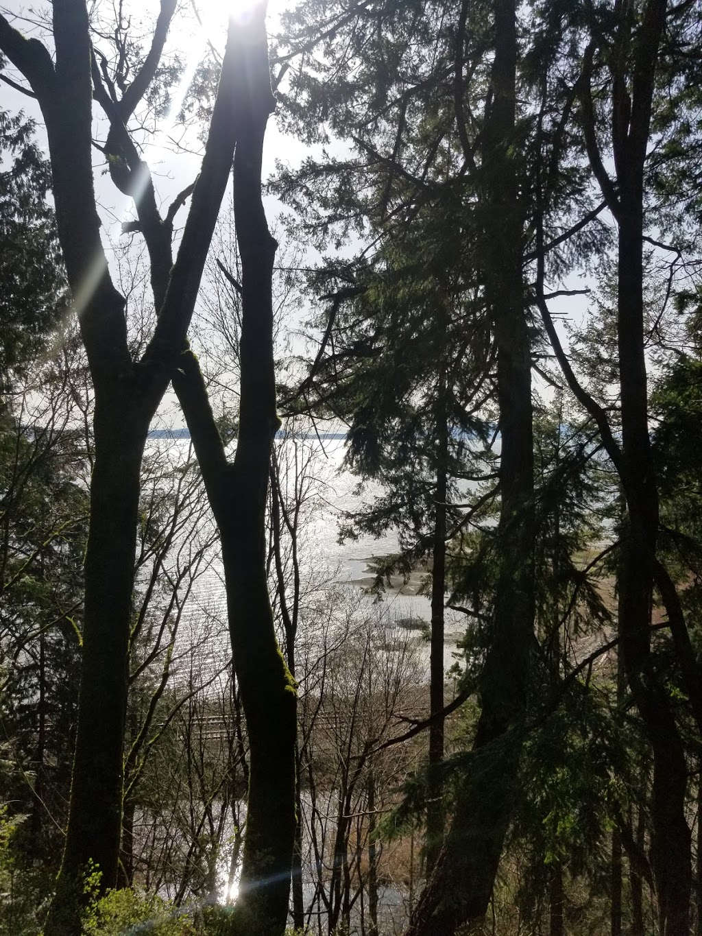 Chuckanut Cabins | 2360 Oyster Creek Ln, Bow, WA 98232, USA | Phone: (360) 755-0888