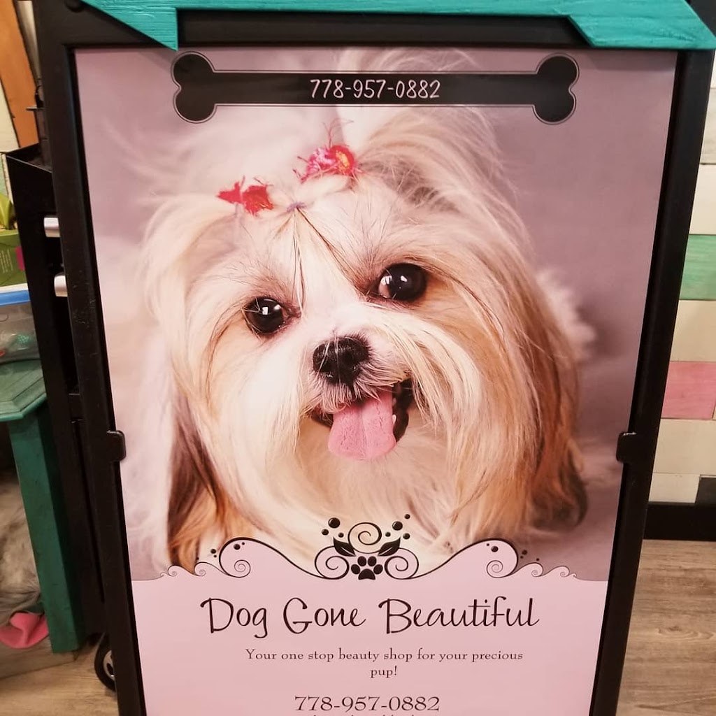 Dog gone beautiful Smiles aldergrove | 27159 Fraser Hwy, Aldergrove, BC V4W 3P7, Canada | Phone: (604) 427-0880