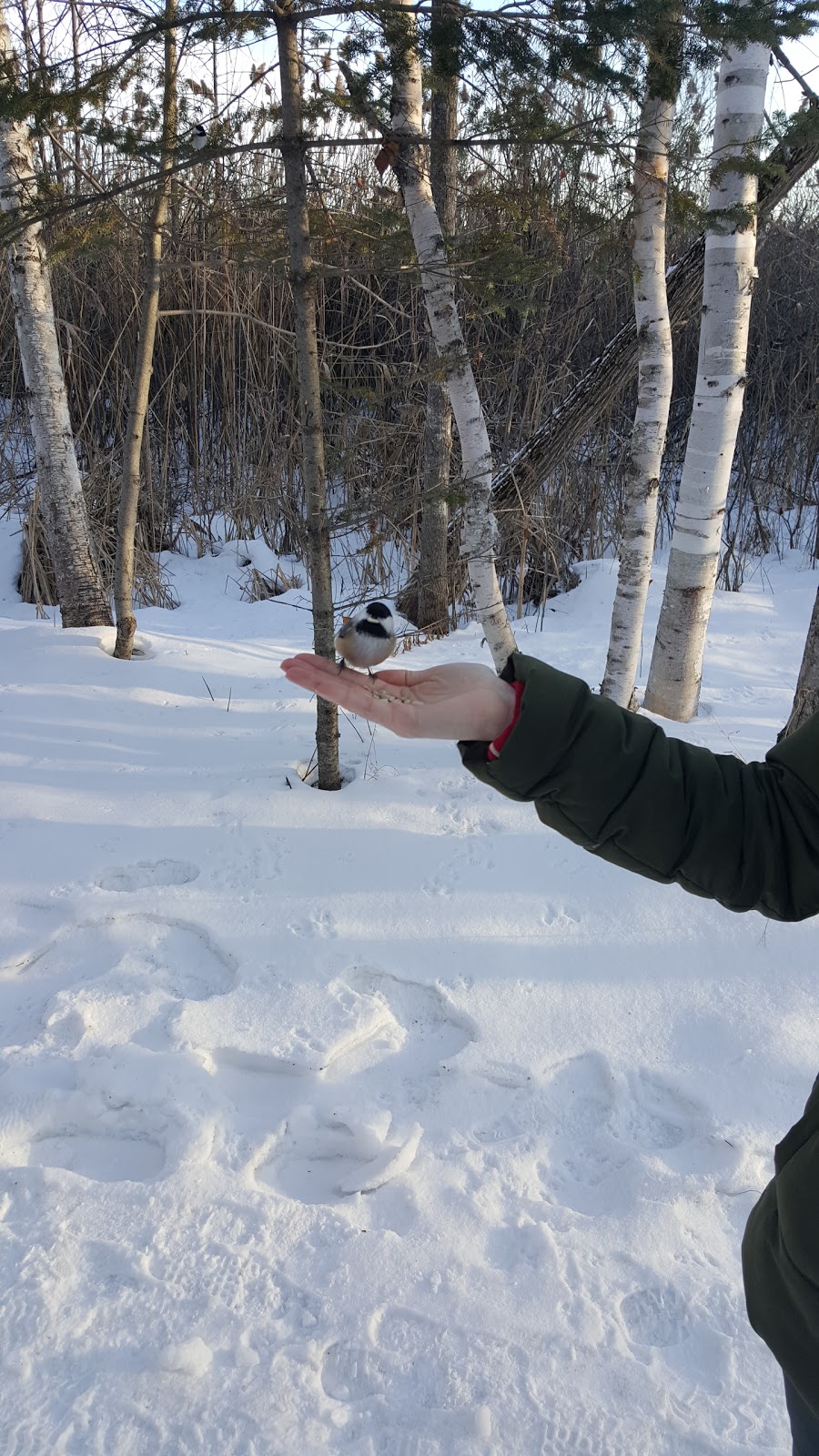 Lime Kiln Trail | Moodie Dr, Nepean, ON K2R 1H3, Canada