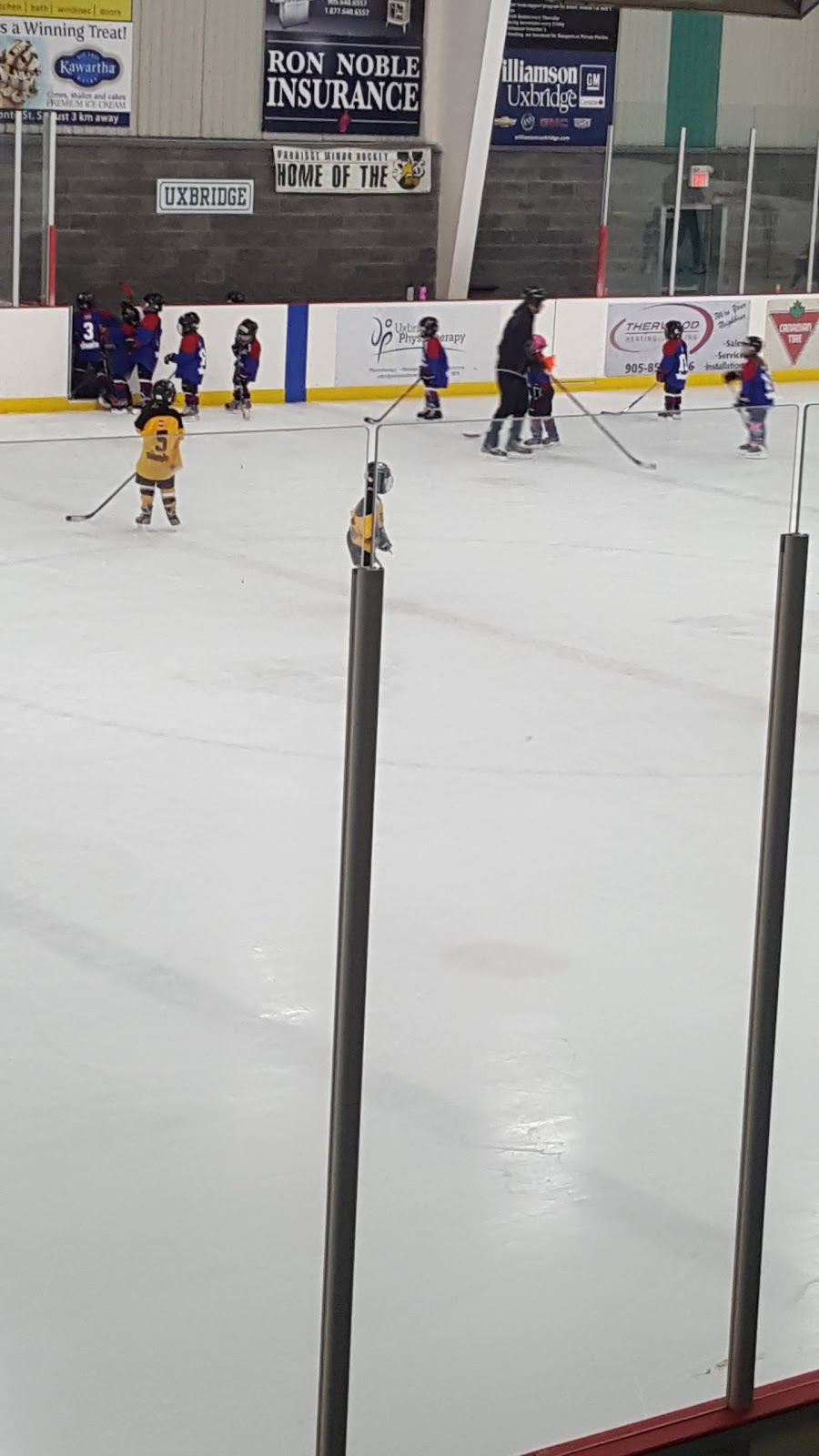 Uxbridge Arena & Recreation Centre | 291 Brock St W, Uxbridge, ON L9P 1G1, Canada | Phone: (905) 852-3081