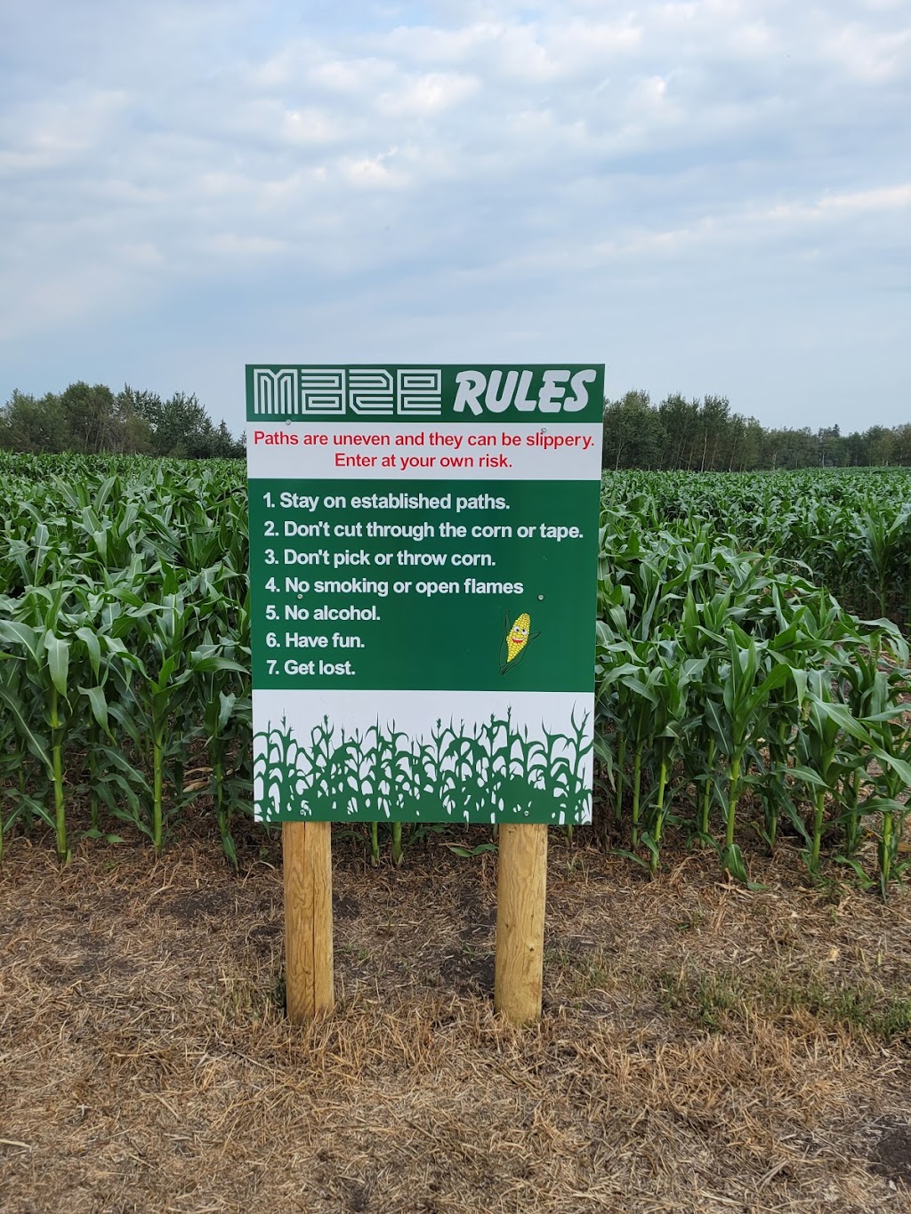 K3 Corn Maze & Family Farm | 19409 Township Road 512, AB T0B 4J0, Canada | Phone: (780) 819-1485