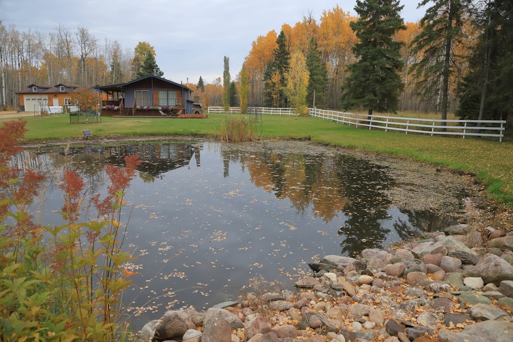 White Tail Woods - Weddings & Events | B 48235 Range Rd 10 Rural, AB T0C 2P0, Canada | Phone: (780) 993-1848