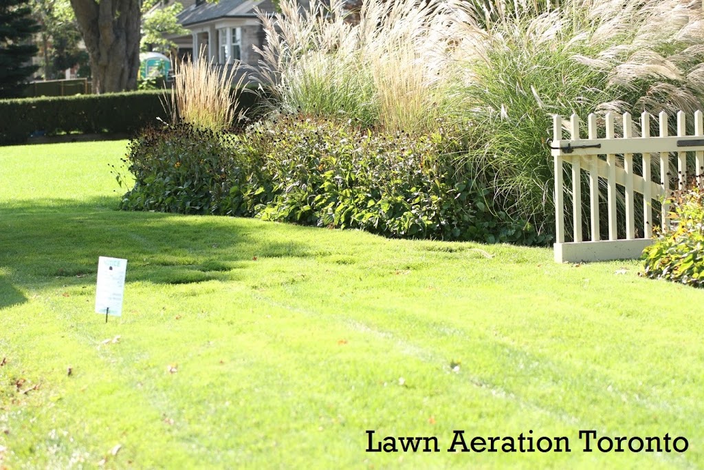 LawnSavers Plant Health Care Inc. | 160 Cidermill Ave Unit 14, Concord, ON L4K 4K5, Canada | Phone: (905) 707-9994