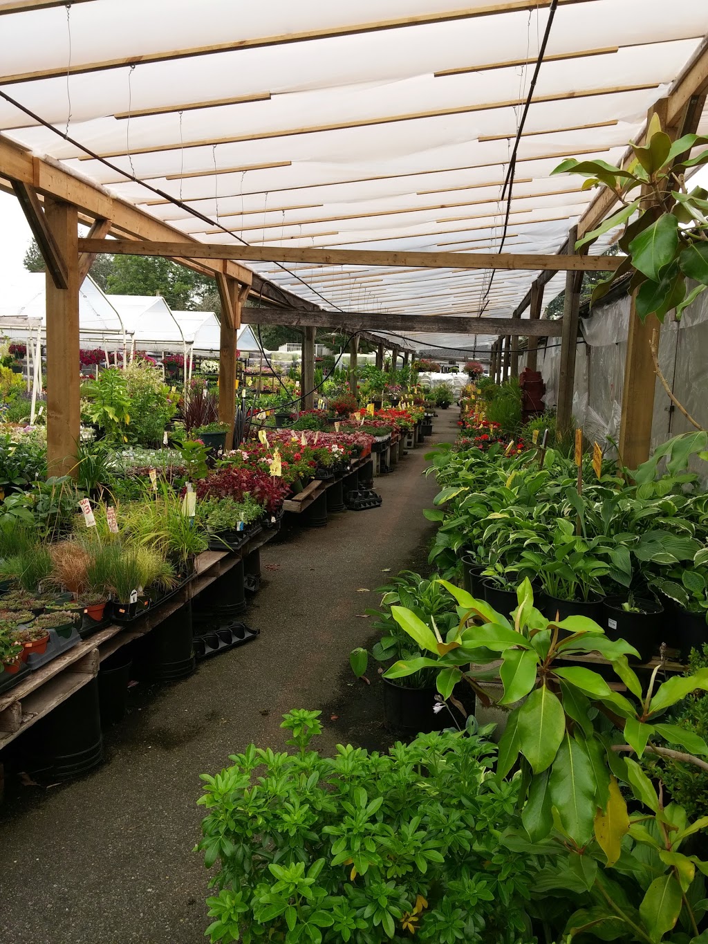 Bens Farm and Garden Center | store | 18341 Fraser Hwy, Surrey, BC V3S 8H6, Canada | 6045744135 OR +1 604-574-4135