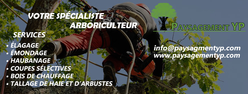 Émondage YP | 202 Chem. du Marais, Saint-Adolphe-dHoward, QC J0T 2B0, Canada | Phone: (450) 630-1090