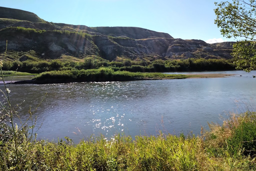 Drumheller Nordic Walking and Wellness | 325 3 Ave W, Drumheller, AB T0J 0Y0, Canada | Phone: (403) 823-0156