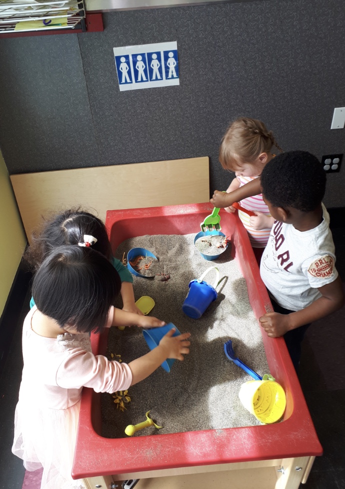 Preschool 101 | 20 Panatella Blvd NW, Calgary, AB T3K 6K7, Canada | Phone: (587) 353-8101
