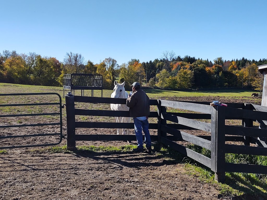 Dog Tales Rescue & Sanctuary | 1405 19th Sideroad, King City, ON L7B 1K5, Canada | Phone: (905) 713-1887