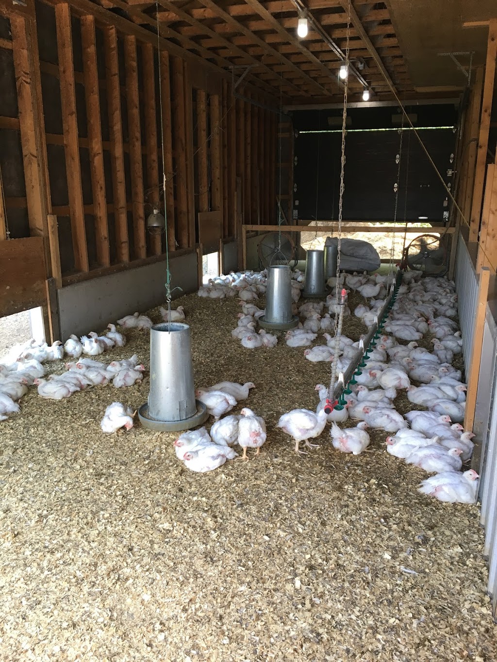 MoorBern Farm | 1438 NS-236, Scotch Village, NS B0N 2G0, Canada | Phone: (902) 757-1666