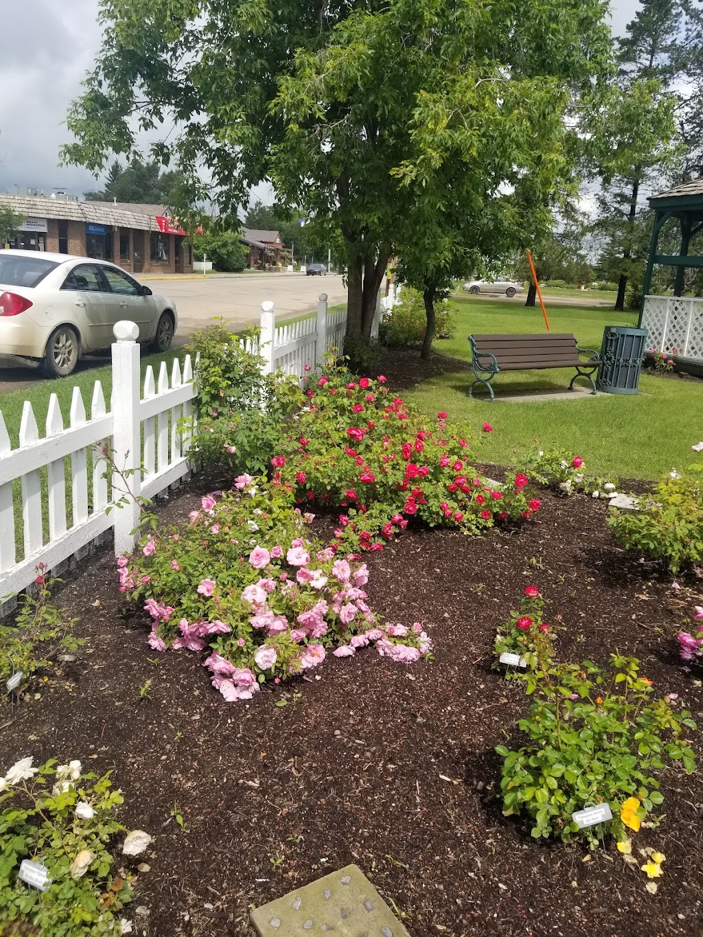 The Millet Memorable Rose Garden | 5020 50 St, Millet, AB T0C 1Z0, Canada | Phone: (780) 387-4554