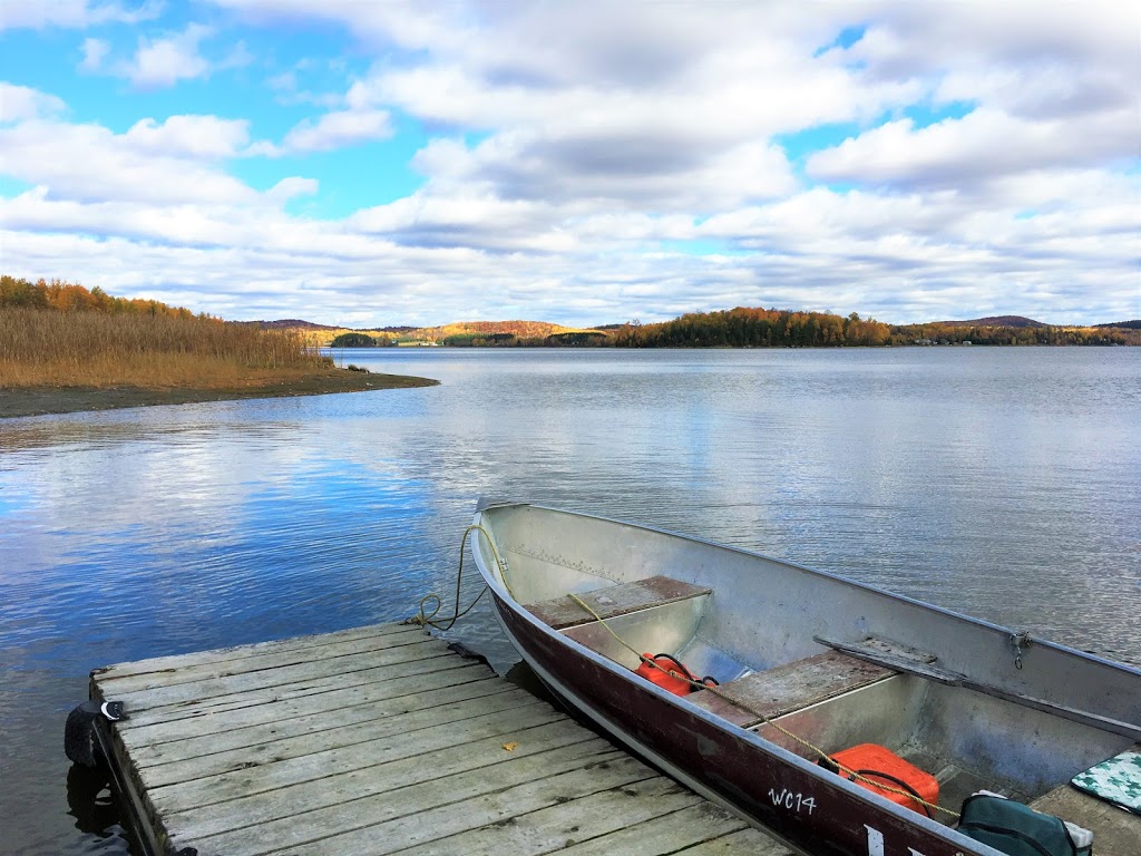 Chalet Des Bouleaux | 130 Ch Hormidas Bondu, Notre-Dame-de-Pontmain, QC J0W 1S0, Canada | Phone: (819) 597-2957