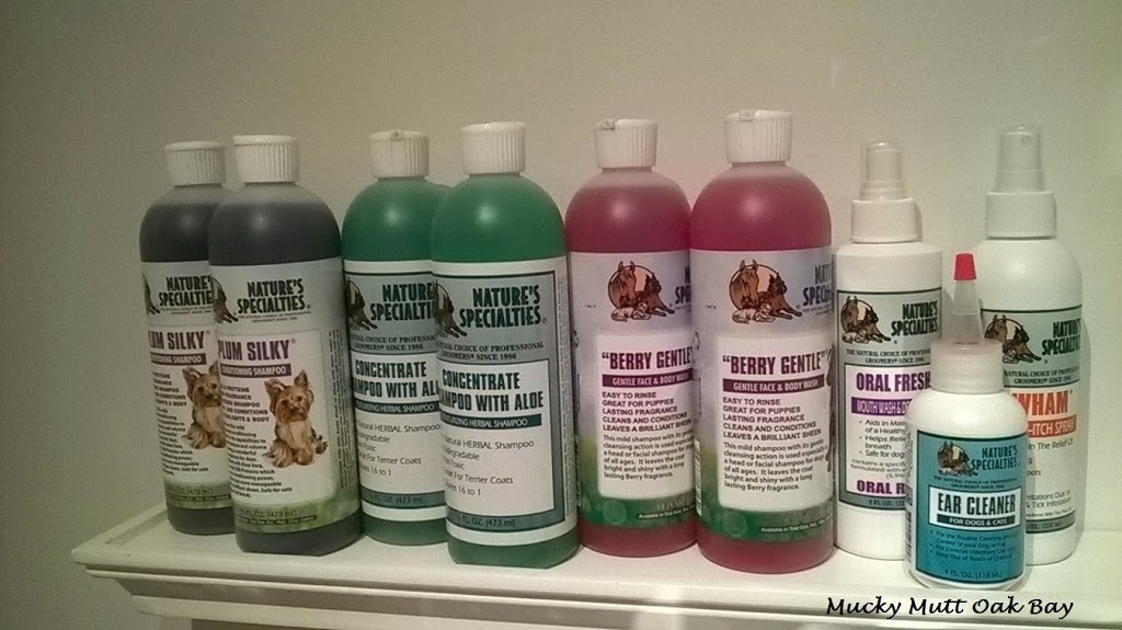 Mucky Mutt Pet Salon | 2250 Oak Bay Ave #105, Victoria, BC V8R 1G4, Canada | Phone: (250) 590-0833