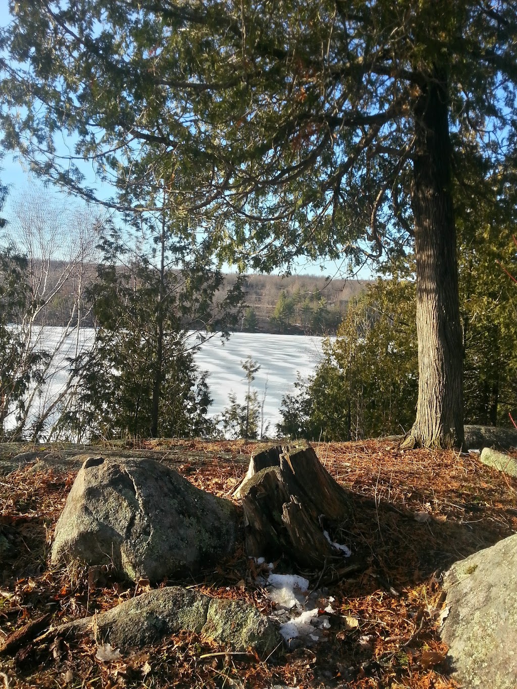 Scouts Canada Otter Lake Camp | 6605 Salmon Lake Rd, Sydenham, ON K0H 2T0, Canada | Phone: (613) 329-5815