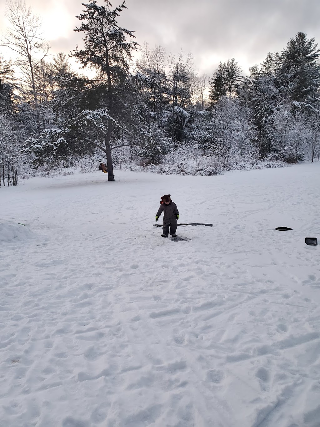 Great Moose Adventures | 1368 Houseys Rapids Rd, Gravenhurst, ON P1P 1R3, Canada | Phone: (705) 687-3903
