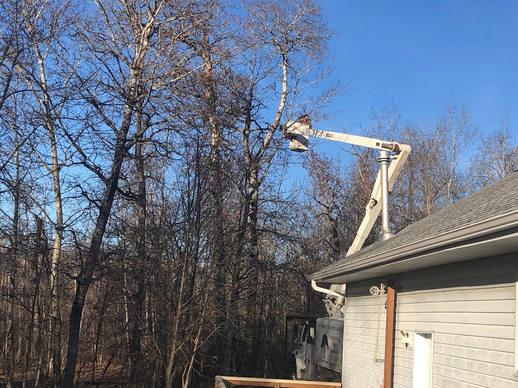 Fisher Hill Tree Company | 48075, Range Rd 194, Camrose, AB T4V 2N1, Canada | Phone: (780) 678-4909