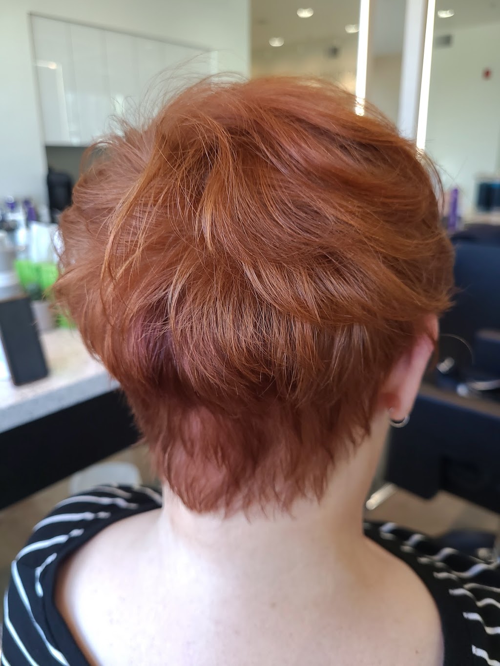 Leana Brown Hair Artist | 19951 80a Ave, Langley City, BC V2Y 0E2, Canada | Phone: (604) 401-9885