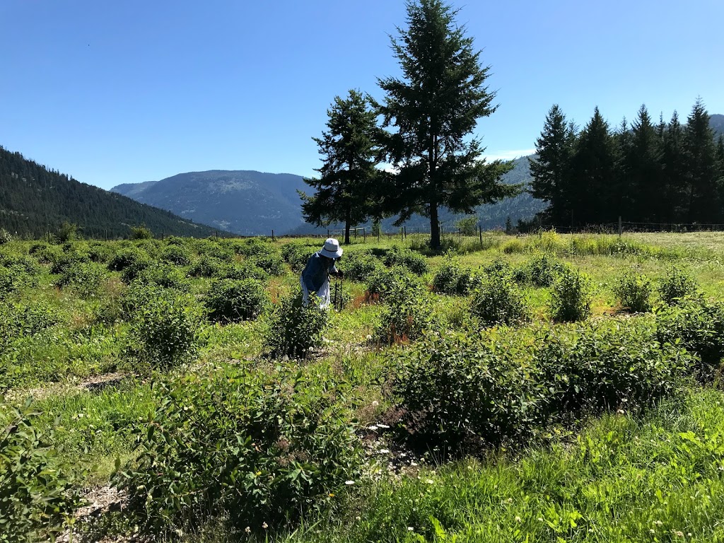 Honeyberry Farm Market | Lake Bay Rd, Heffley Creek, BC V0E 1Z1, Canada | Phone: (250) 578-0781