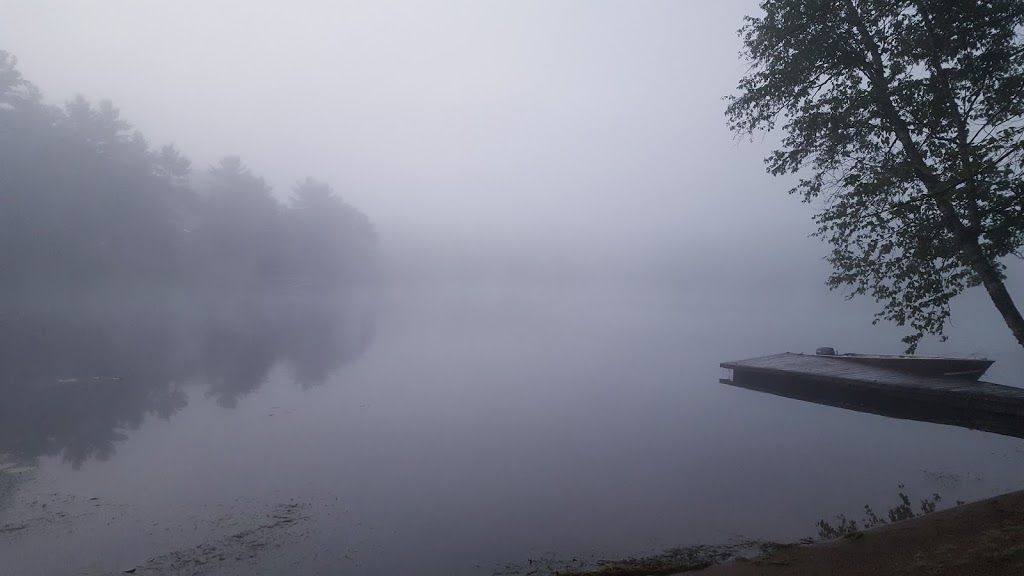 Shady Point Resorts | 3350 Buckhorn Rd, Lakefield, ON K0L 2H0, Canada | Phone: (705) 657-9922