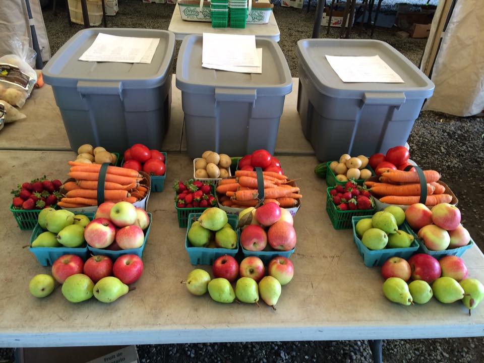 Hewitt Fresh - Grocery Home Delivery | 3331 Town Line, Coldwater, ON L0K 1E0, Canada | Phone: (705) 305-9464
