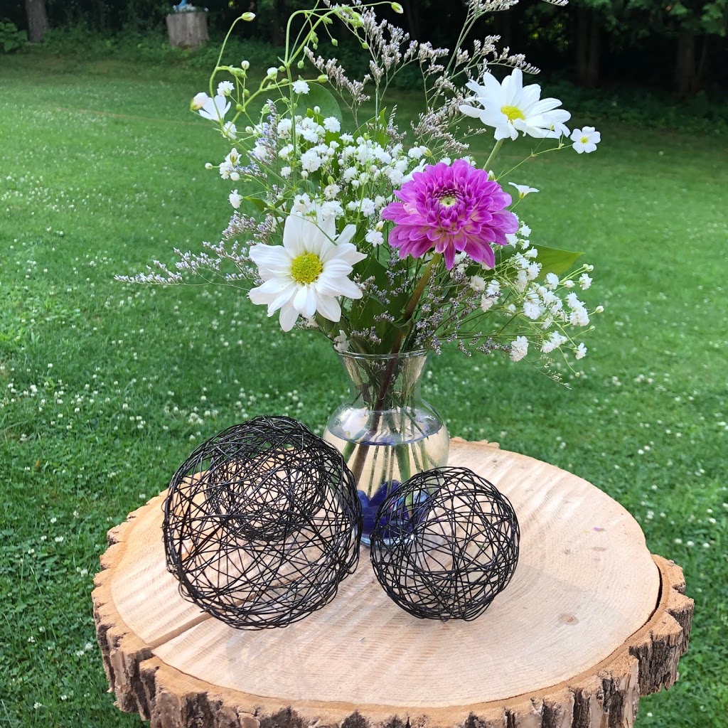 Life Vine Creations | 12374 Elizabeth St, Limehouse, ON L0P 1H0, Canada | Phone: (905) 703-8554