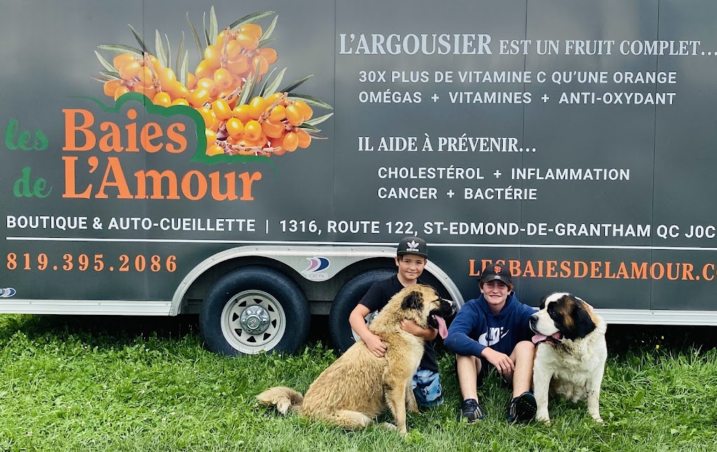 Les baies de lamour | 1316 Rte 122, Saint-Edmond-de-Grantham, QC J0C 1K0, Canada | Phone: (819) 395-2086