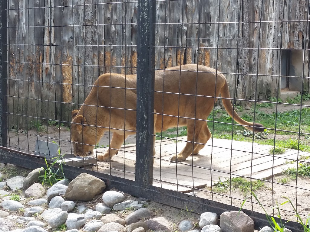 Bowmanville Zoo | 340 King St E, Bowmanville, ON L1C 3K5, Canada | Phone: (905) 623-0957