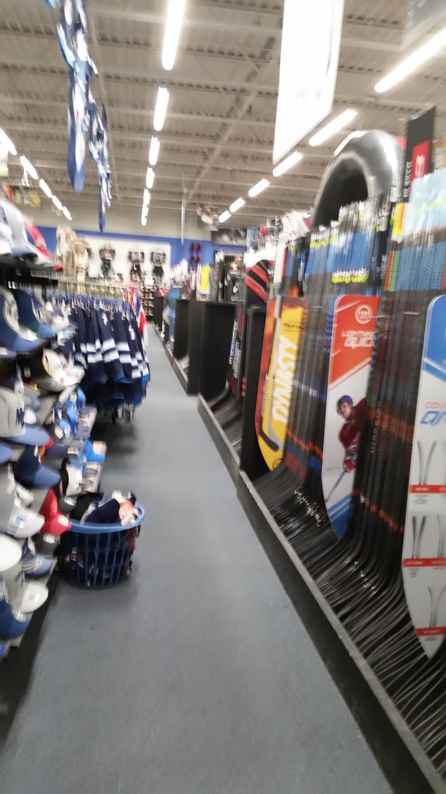 Royal Sports | 750 Pembina Hwy, Winnipeg, MB R3M 2M7, Canada | Phone: (204) 453-7437