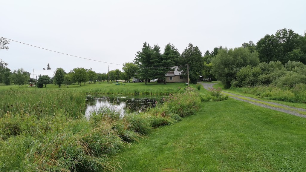 South Sparrow Marine Inc | 1423 Canning Rd, Severn Bridge, ON P0E 1N0, Canada | Phone: (705) 345-7924