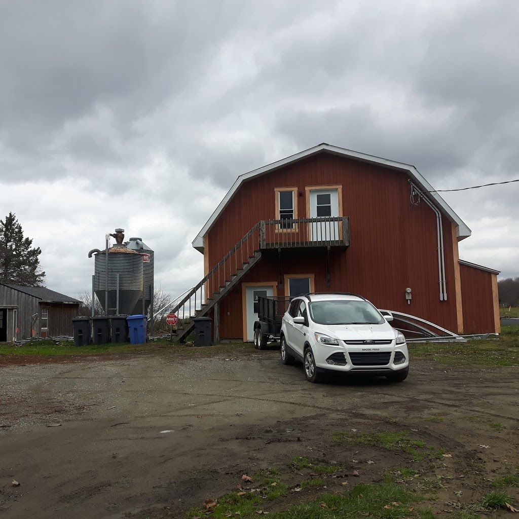 Ferme ForThé inc | 433 QC-108, Cookshire-Eaton, QC J0B 1M0, Canada | Phone: (819) 588-4740