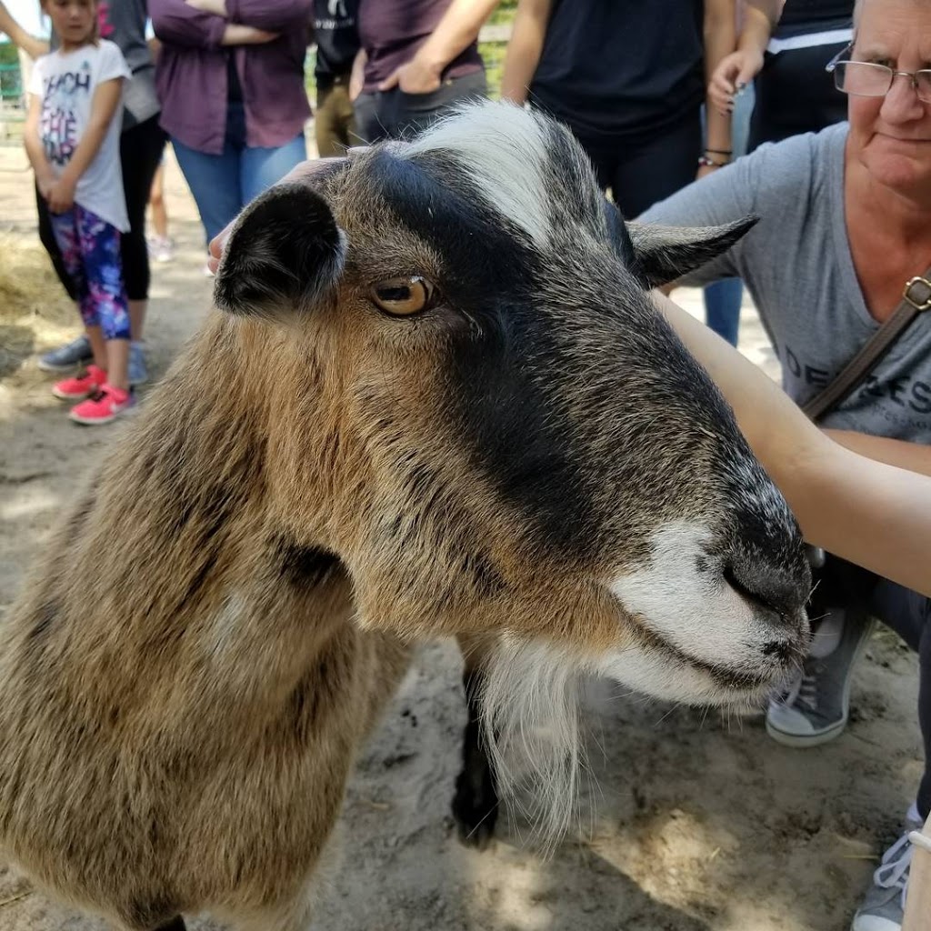 Wishing Well Sanctuary | 2710 Line 10, Bradford, ON L3Z 2A5, Canada | Phone: (905) 775-9179