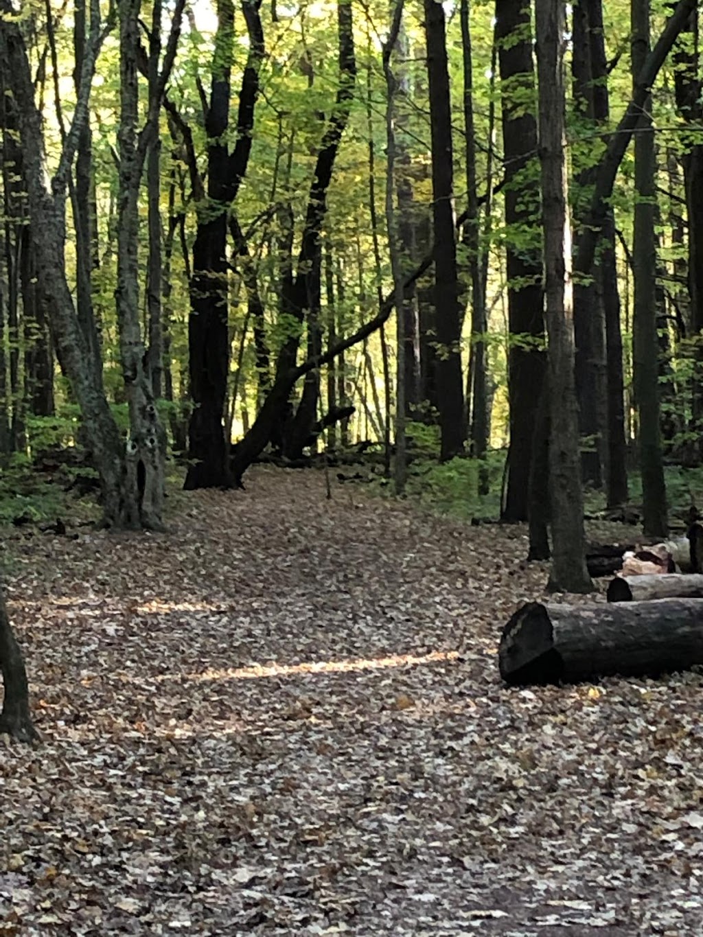 Menno Lodge | 50 Melanie Dr, Aylmer, ON N5H 3G6, Canada | Phone: (519) 765-1083