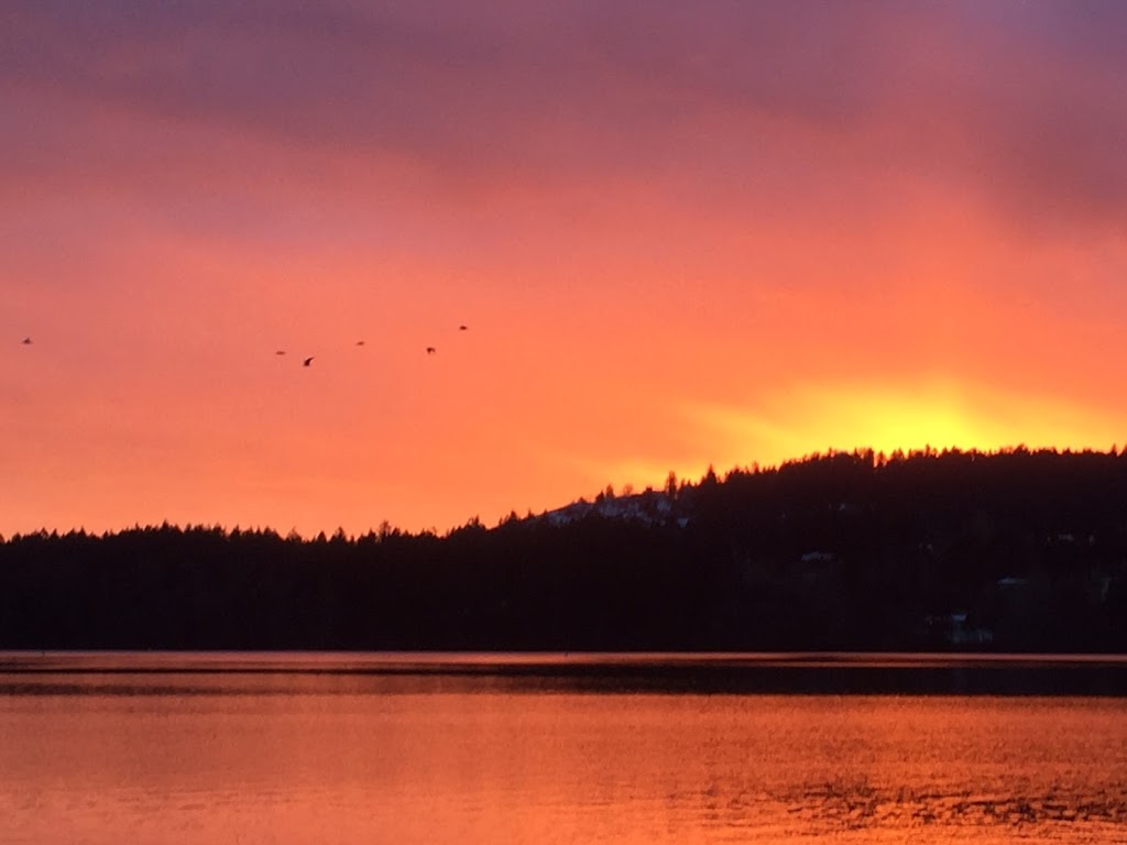 Elk Lake Dentistry | 5401 Hamsterley Rd #2, Victoria, BC V8Y 1S4, Canada | Phone: (250) 382-5253