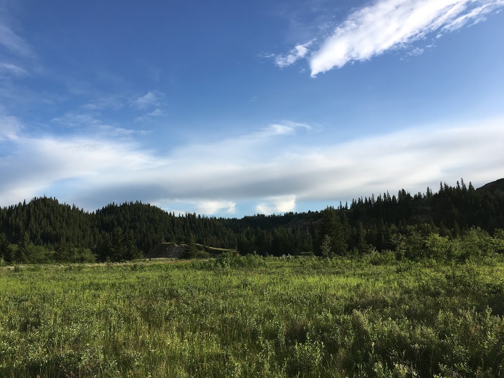 Trenville Park | 21563 Township Rd 361A, Elnora, AB T0M 0Y0, Canada | Phone: (403) 773-2273
