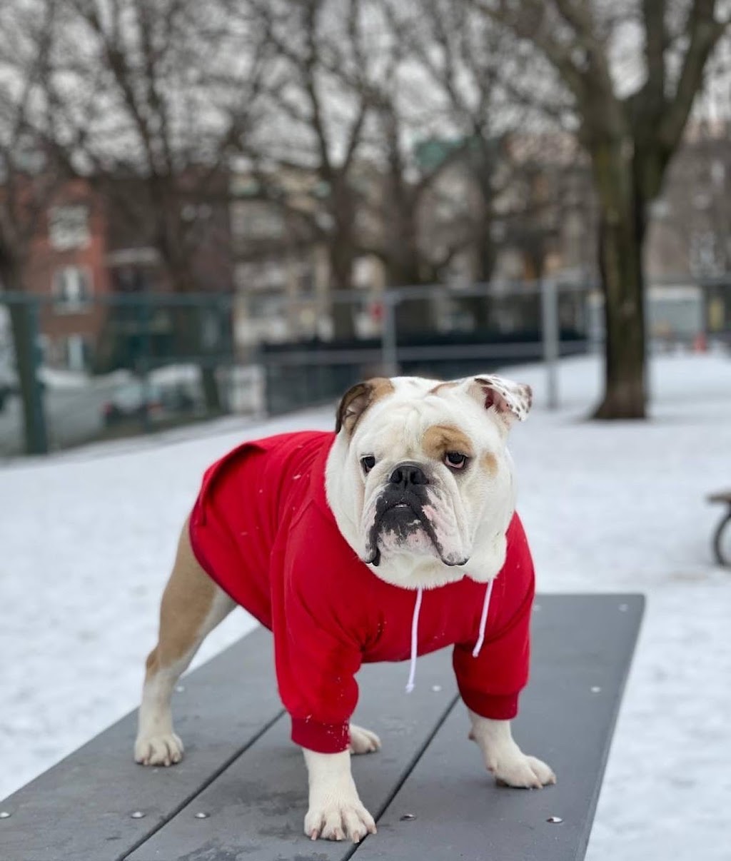 Parc à chiens du parc des Royaux | 2185 Rue Larivière, Montréal, QC H2K 1P5, Canada | Phone: (514) 578-5665