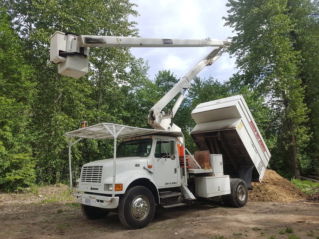 Cloudraker Tree service | 7338 Industrial Way, Pemberton, BC V0N 2L0, Canada | Phone: (604) 898-2314